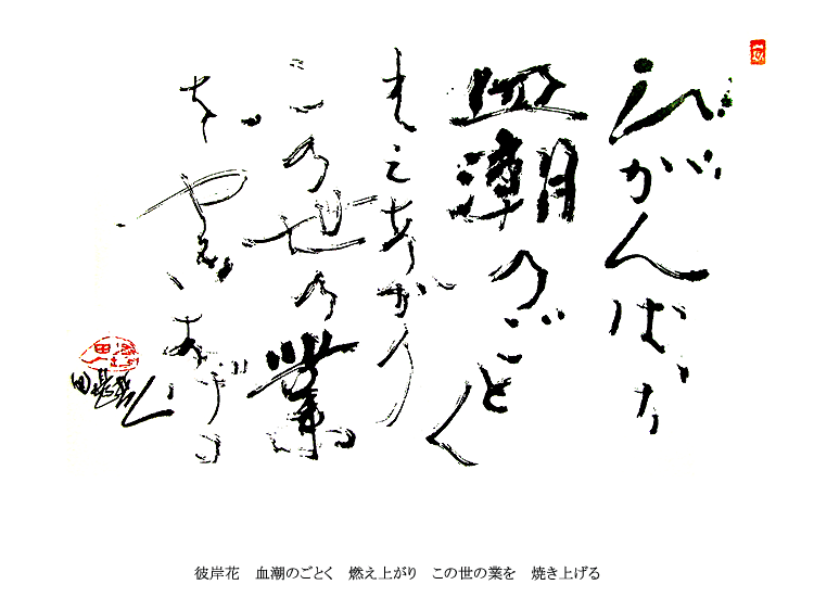 ǯ ů ʽ